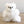 Micro Alpaca Stuffed Animal - Bear