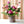 Mother's Day Embrace Floral Arrangement