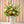 Mother's Day Radiant Arrangement